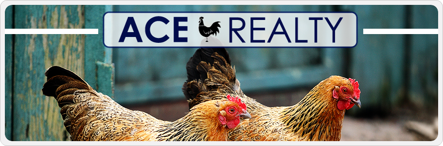 Ace Realty Poultry Farm Sales.