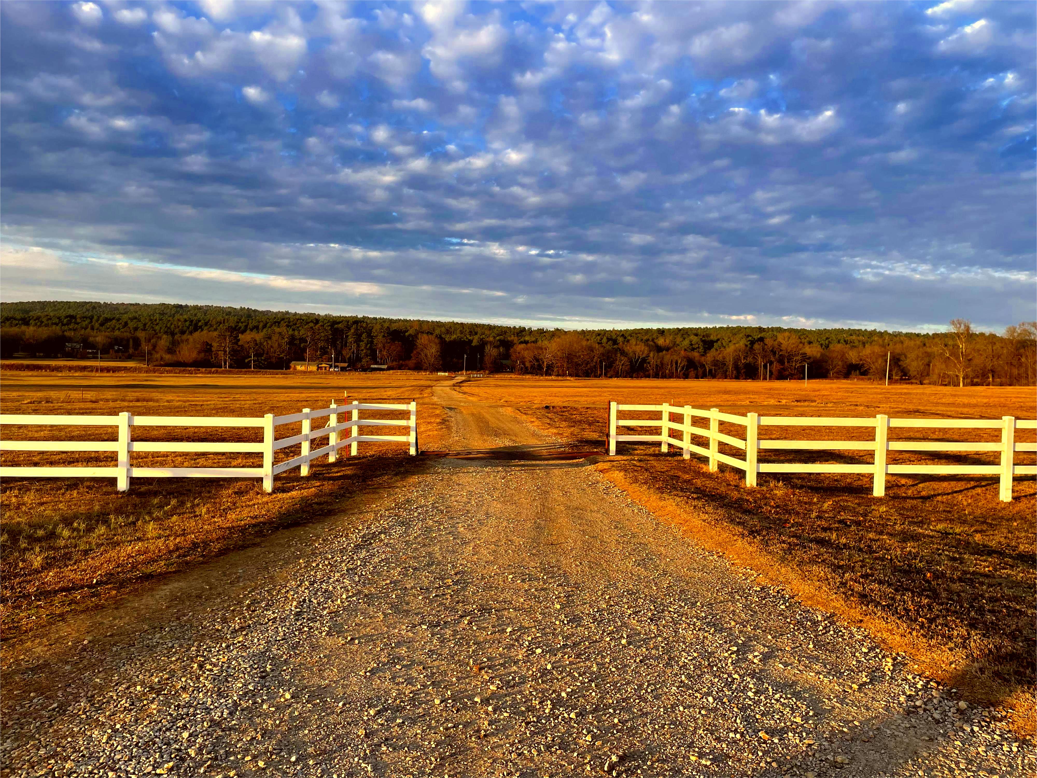 Farm Land