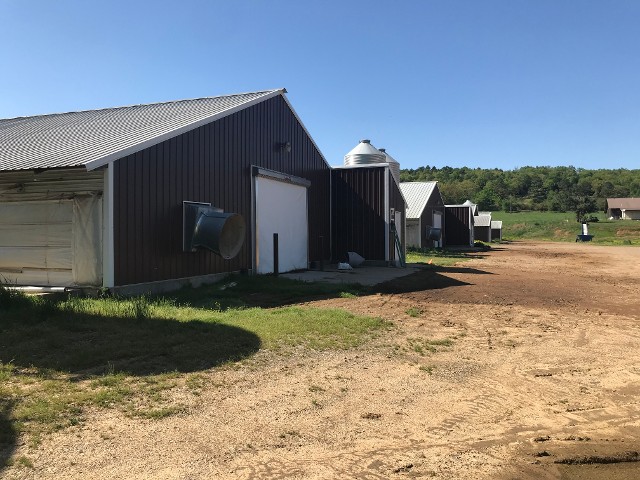 Poultry Houses