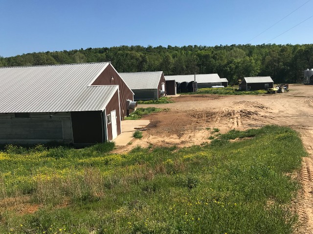 Poultry Storage