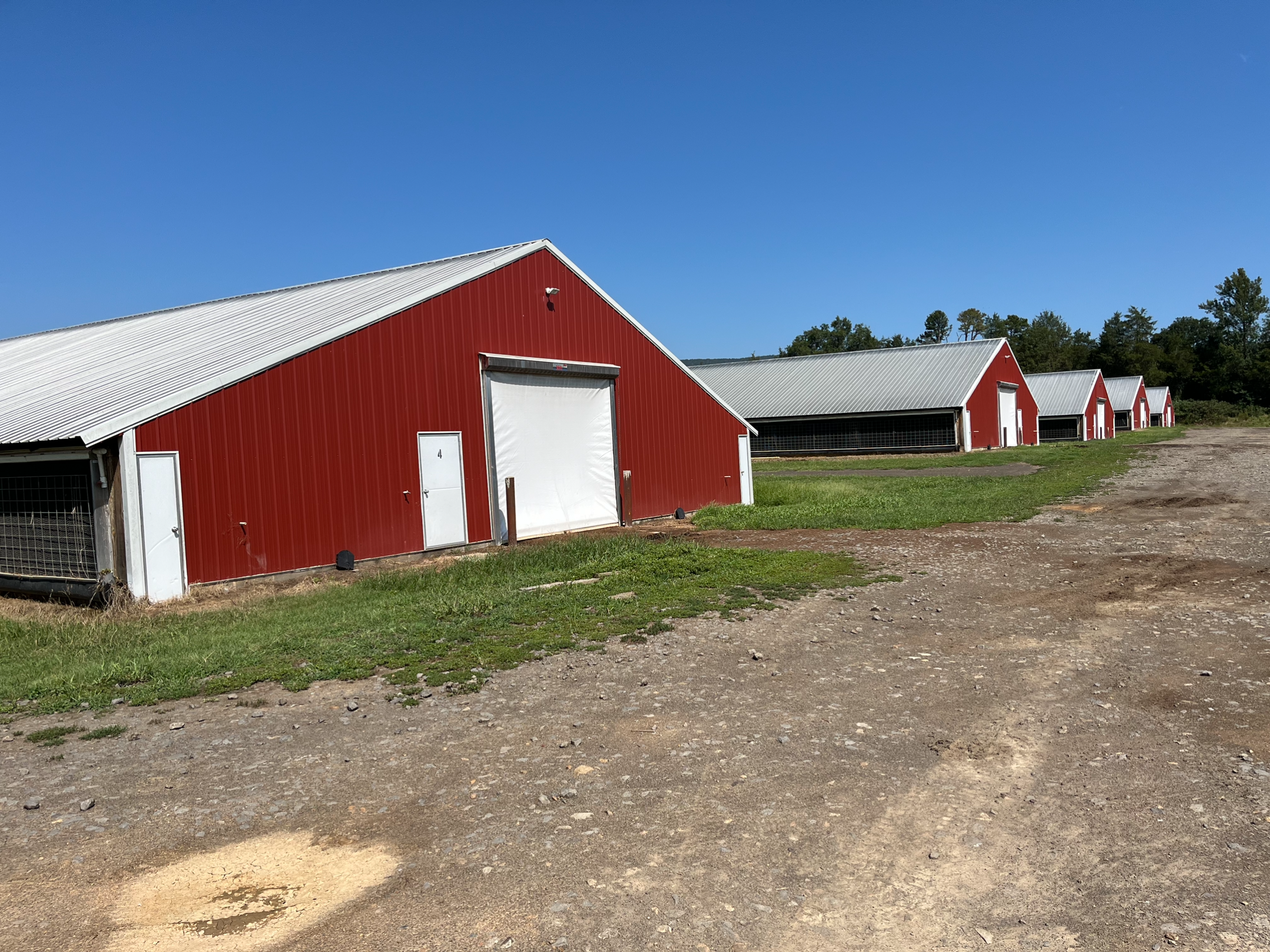 Red House Farm