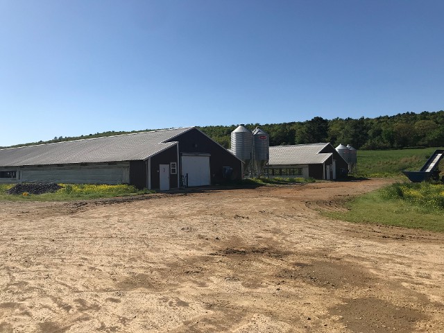 Barn House