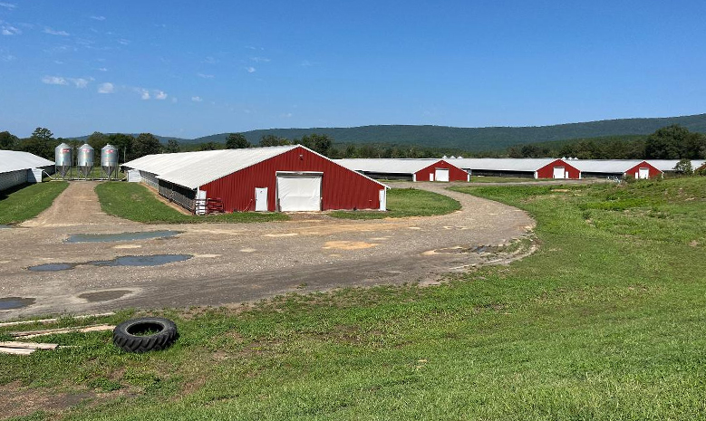 Broiler Farm Houses