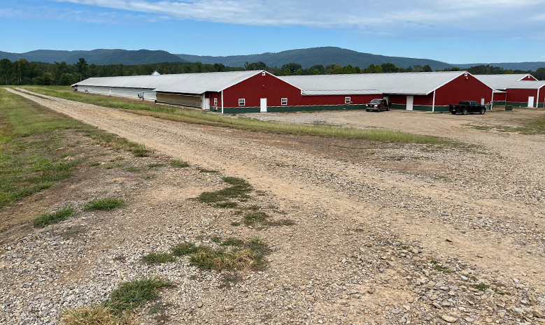 Breeder Hen Farm Houses