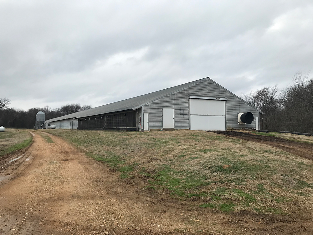 Broiler Farm With Side Road